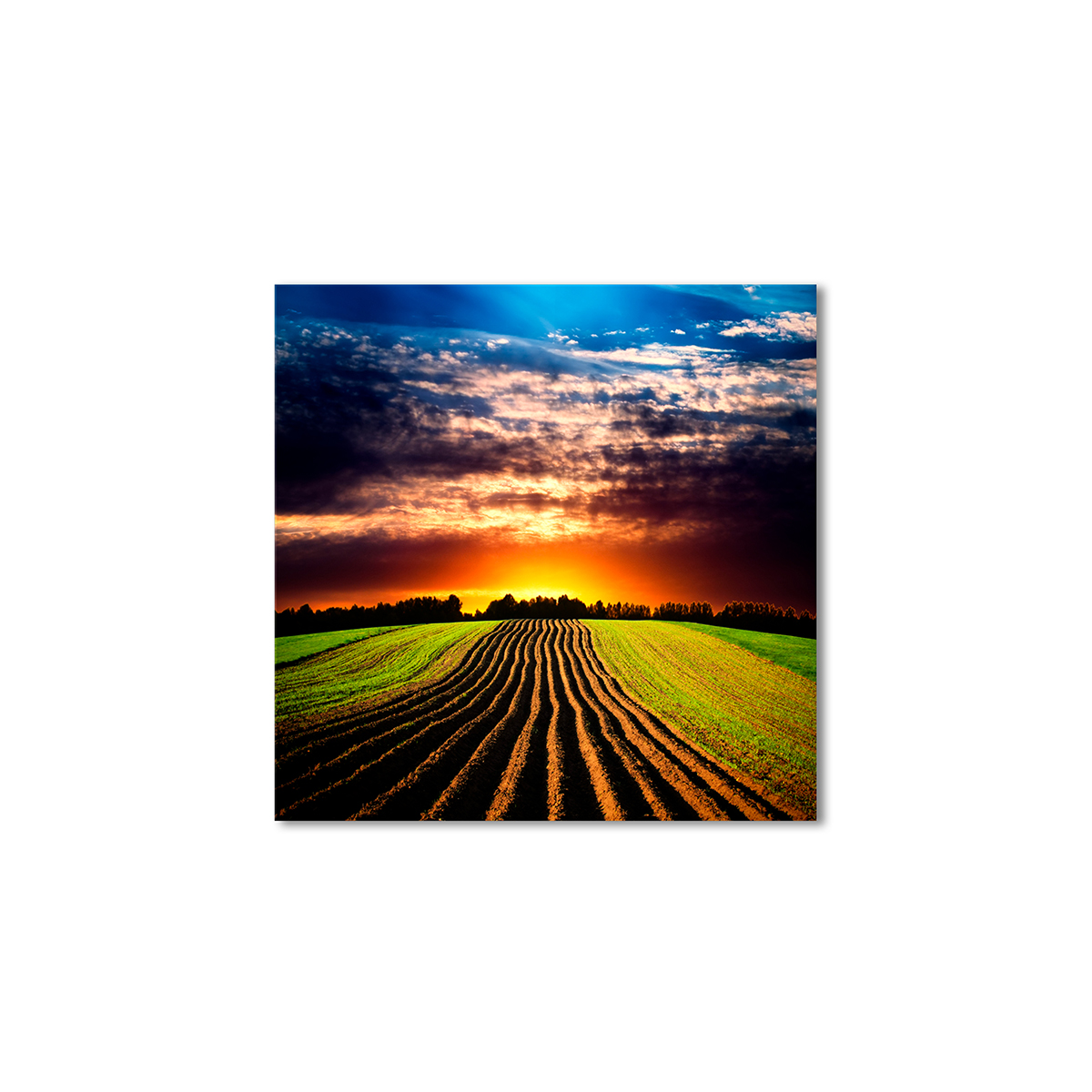 

Модульная картина Artel «Закат вспаханное поле» 80x80 см