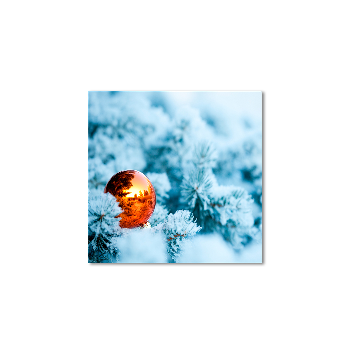 

Модульная картина Artel «Снежные ветки ели шарик» 100x100 см