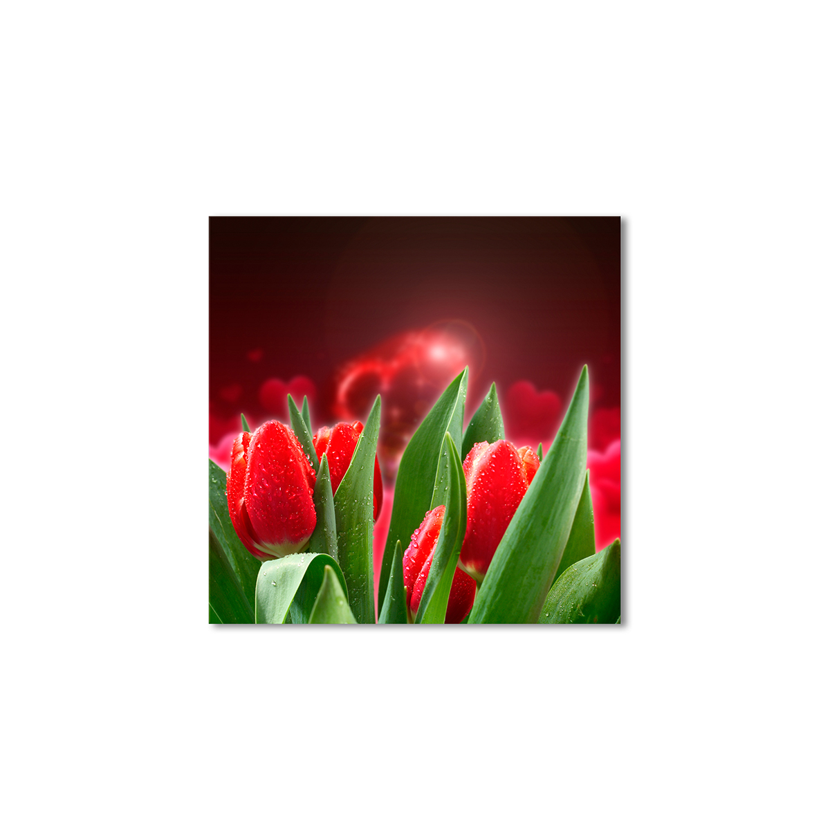 

Модульная картина Artel «Тюльпаны красные» 120x120 см