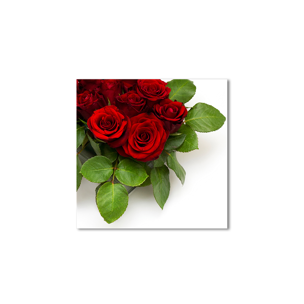 

Модульная картина Artel «Розы в снегу» 120x120 см