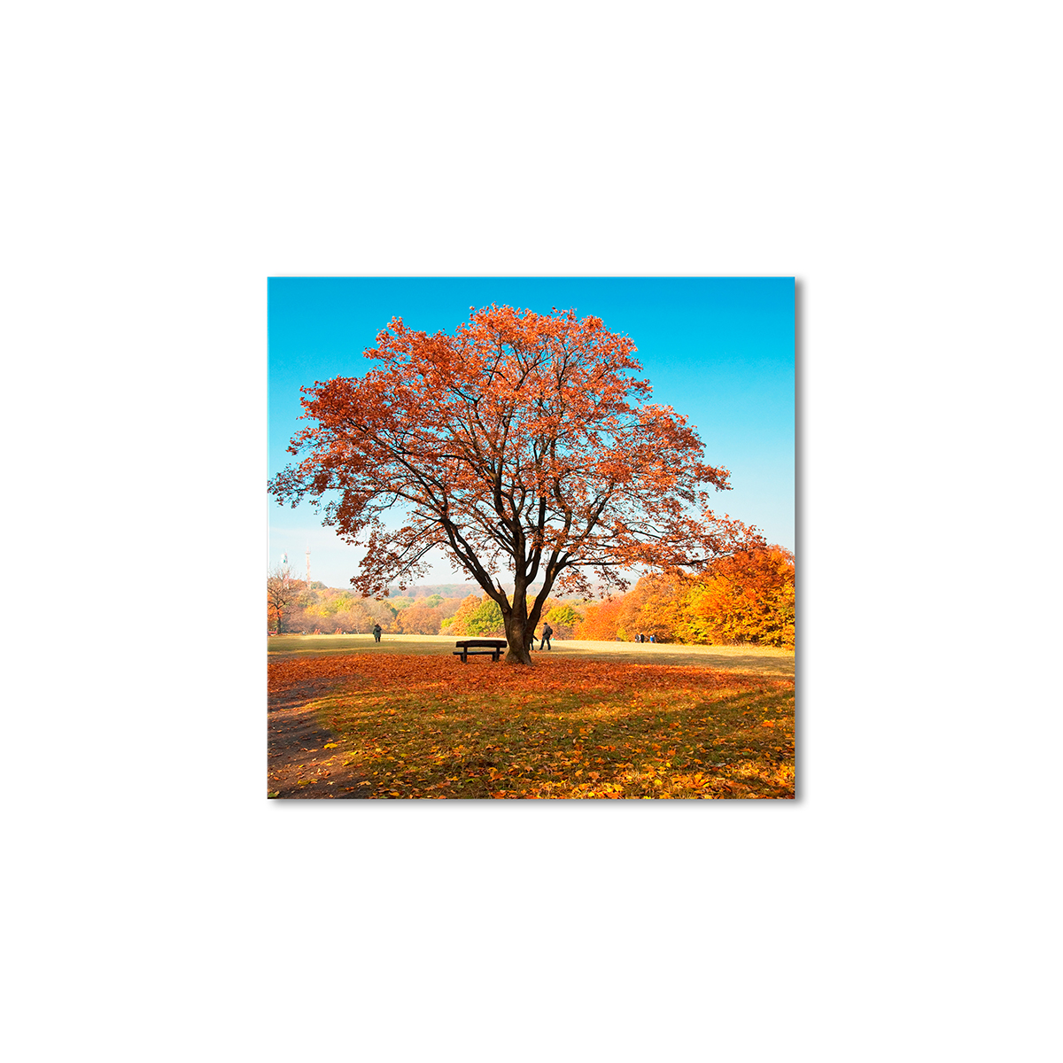 

Модульная картина Artel «Большой осенний парк» 120x120 см