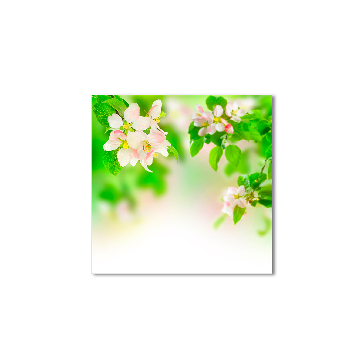 

Модульная картина Artel «Айвовый цвет» 50x50 см