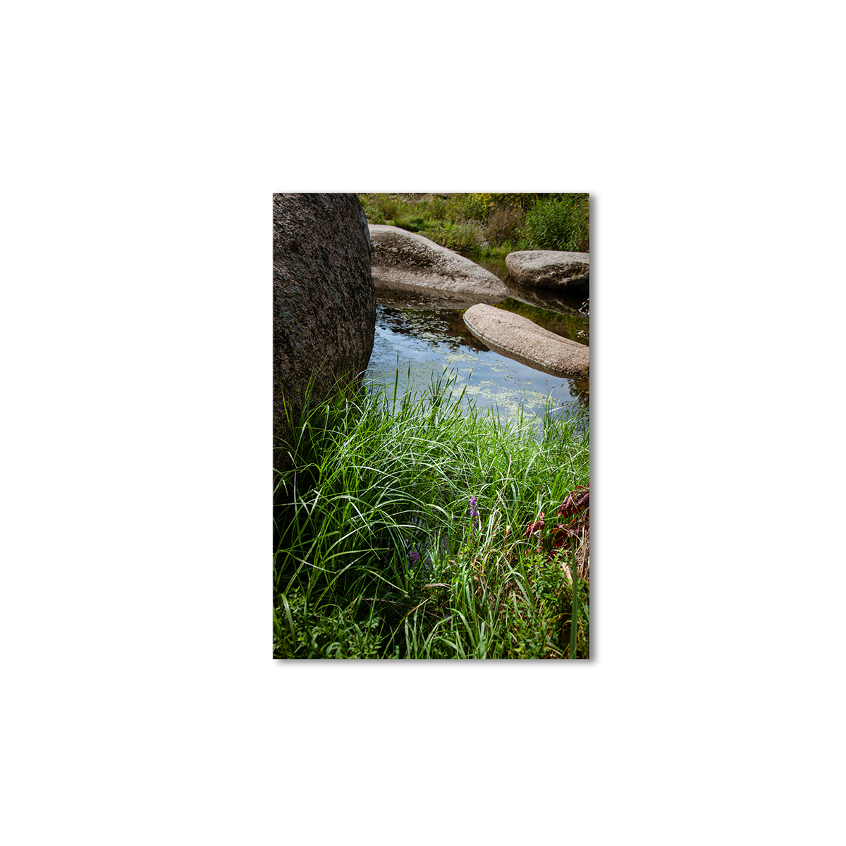 

Модульная картина Artel «Вода камни трова» 150x100 см