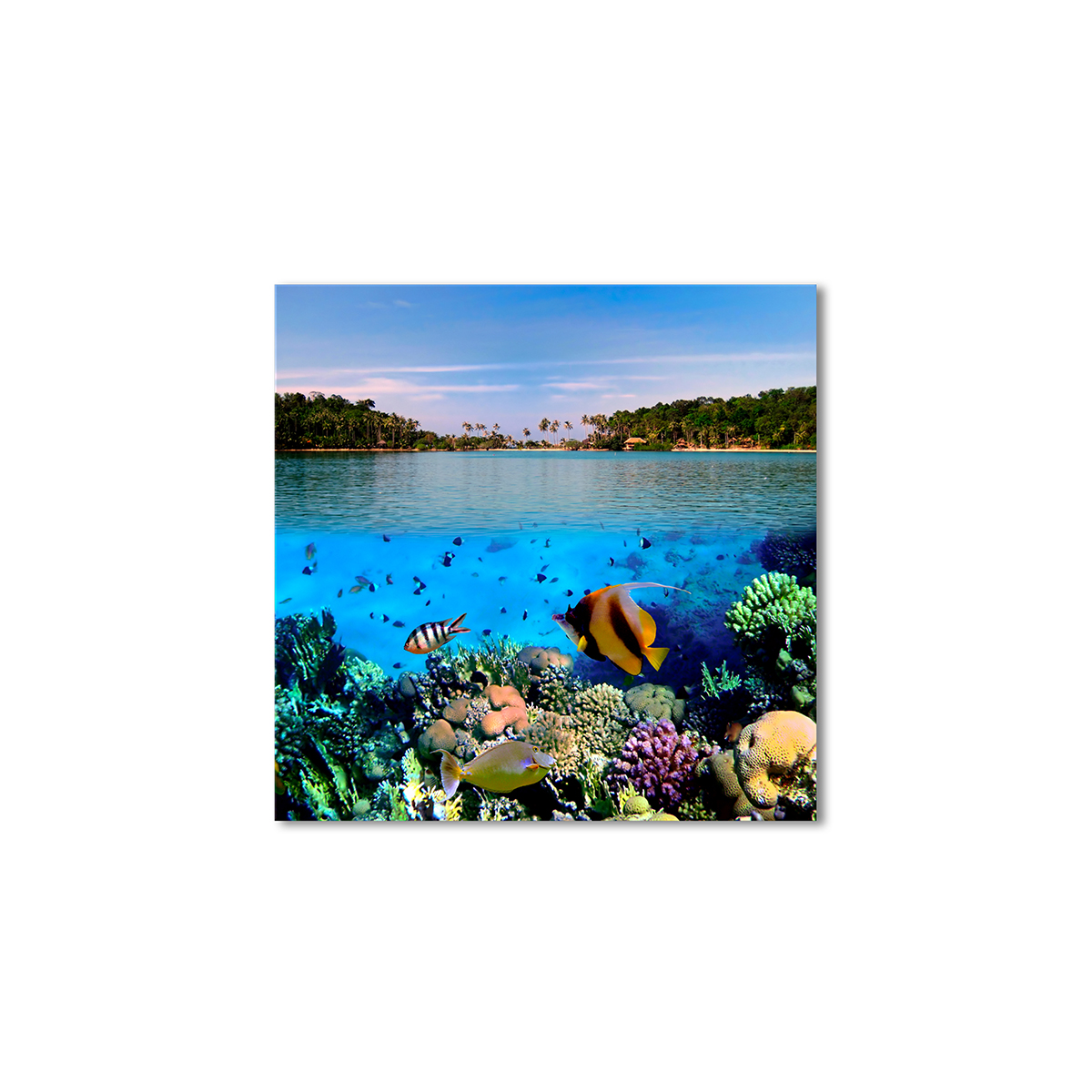 

Модульная картина Artel «Яркая фауна» 100x100 см