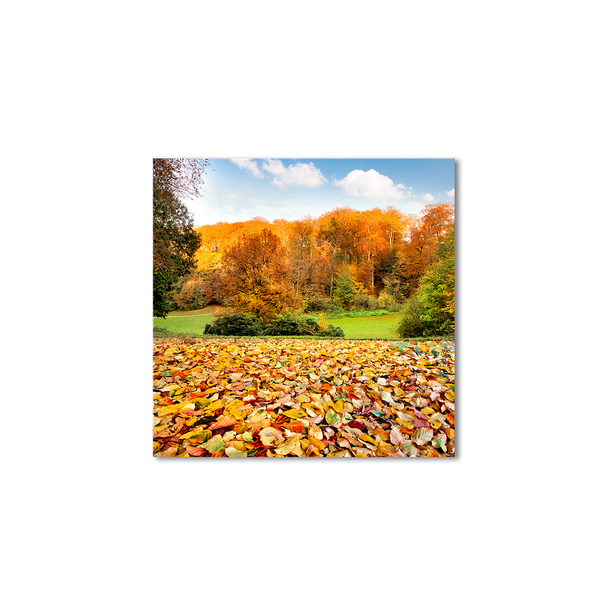 

Модульная картина Artel «Шорох осенней листвы» 100x100 см