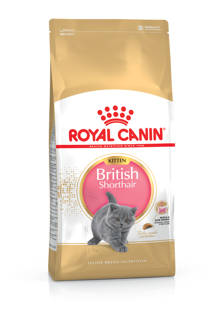 

Сухий корм Royal Canin British Shorthair Kitten 2 кг (RA2566020)