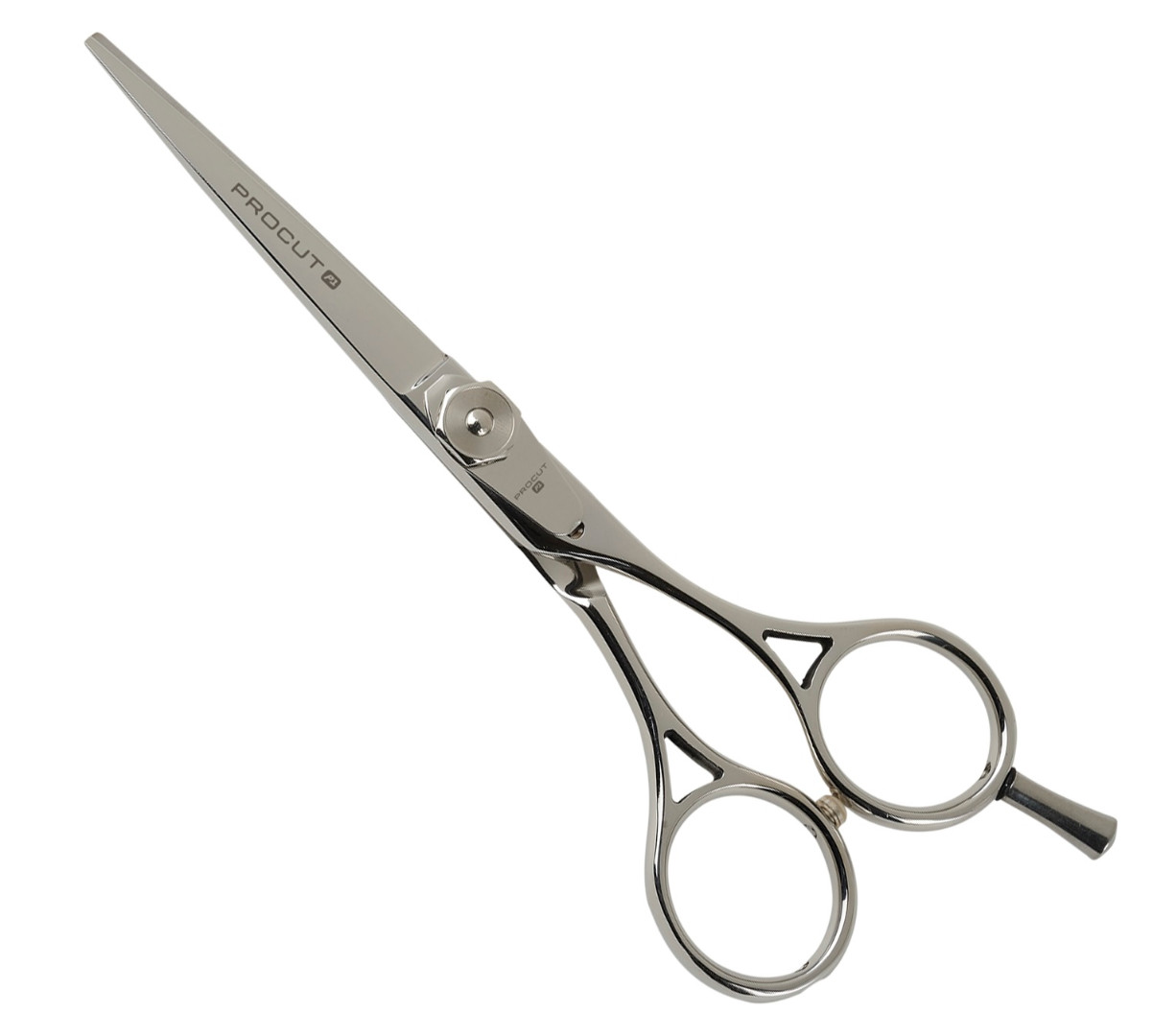 

Ножницы прямые Iv San Bernard PROCUT 5,5, 5,5 дюймов (14см)