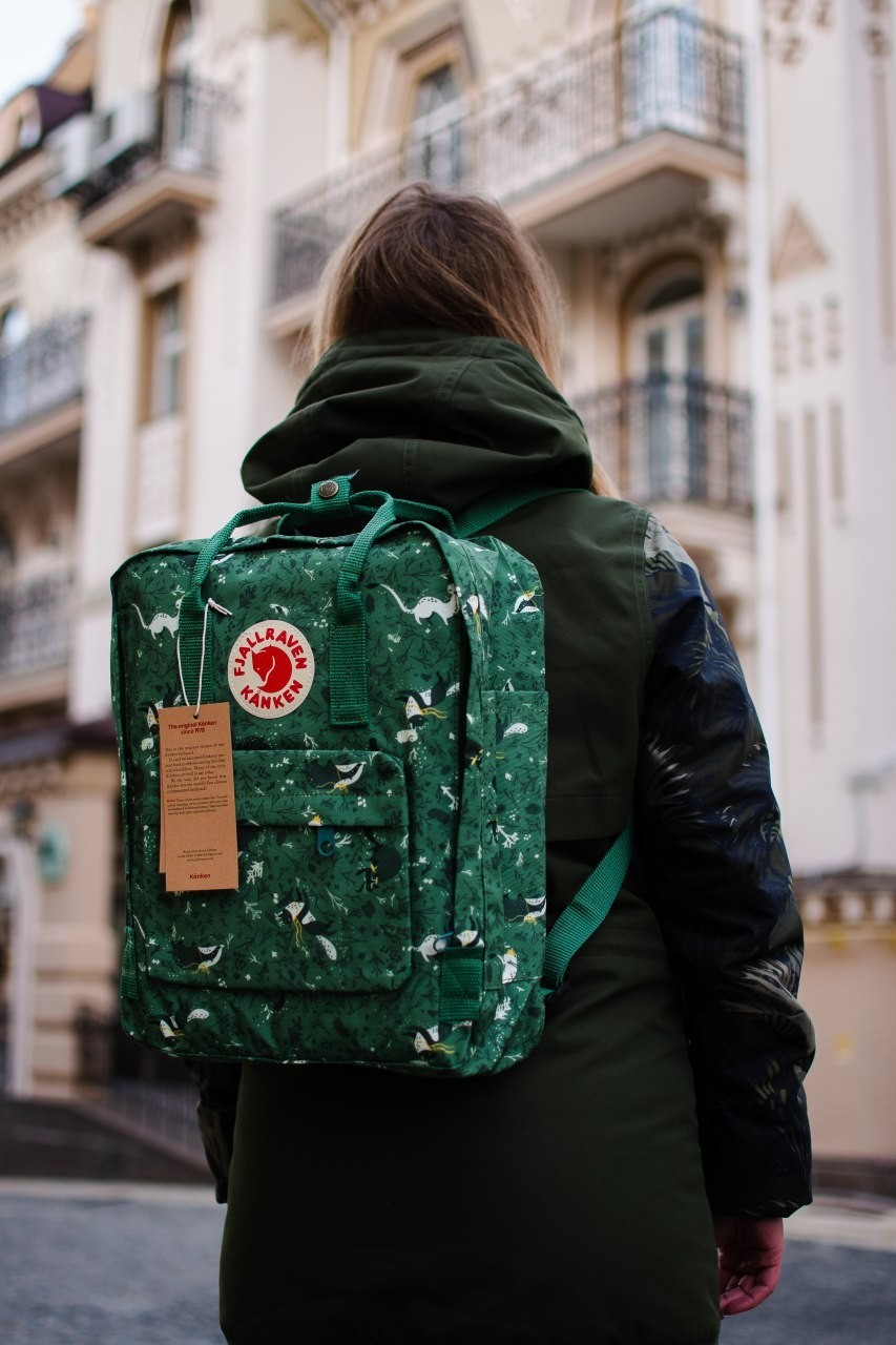 

Молодежный рюкзак Fjallraven Kanken Art Green Fable F23510.33 зелёный