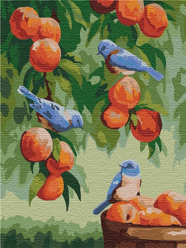 

Картина по номерам Идейка Дрозды и персики 30 x 40 см (КНО2429) (4823104300106)