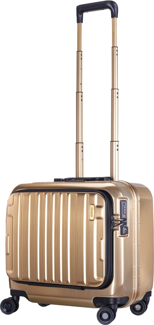 

Бизнес-кейс Lojel 43 x 43 x 26 см 38 л Бежевый (Lj-CF1375P_G)