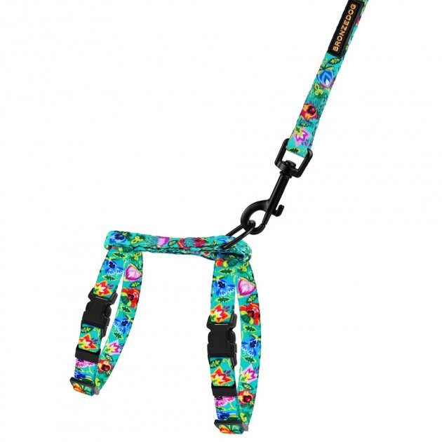 

Шлея з Повідцем для Котів та Дрібних Собак BronzeDog Urban Folk Ментолова, 2XS (57/1417)
