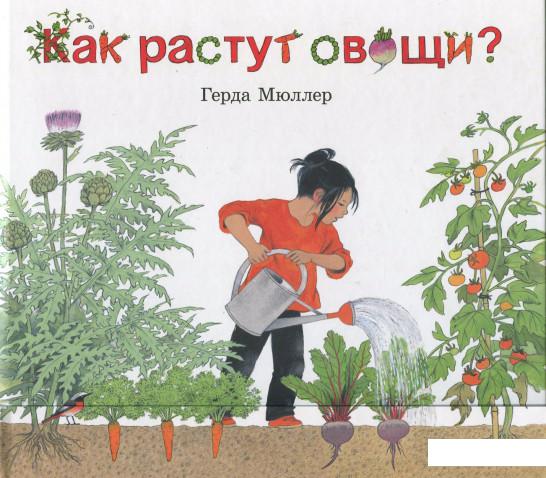 

Как растут овощи Иллюстрации Герды Мюллер (378155)