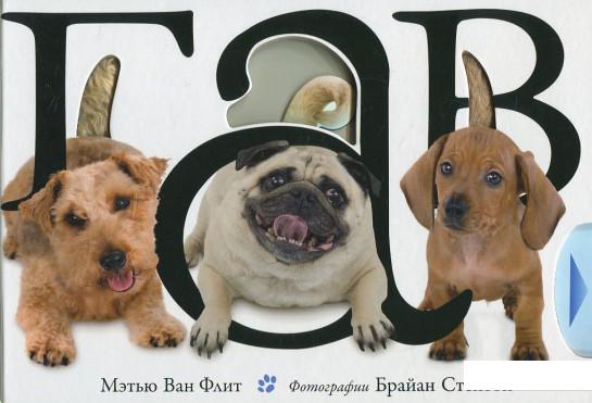 

Ван Флит М. Гав (415967)