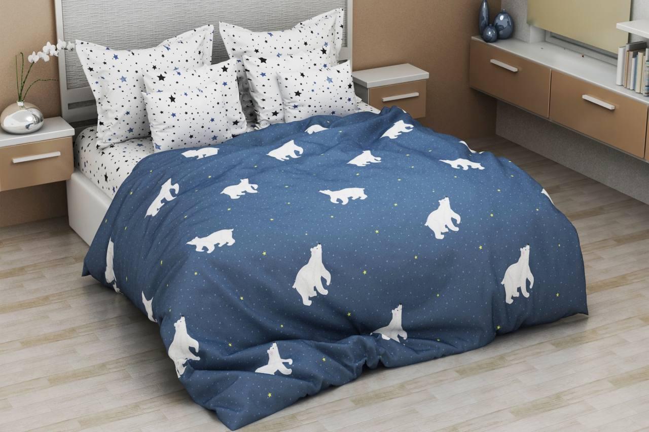 

Комплект постельного белья Qili Home Textile ранфорс №R1000 Полуторный 150х220 бело-синий