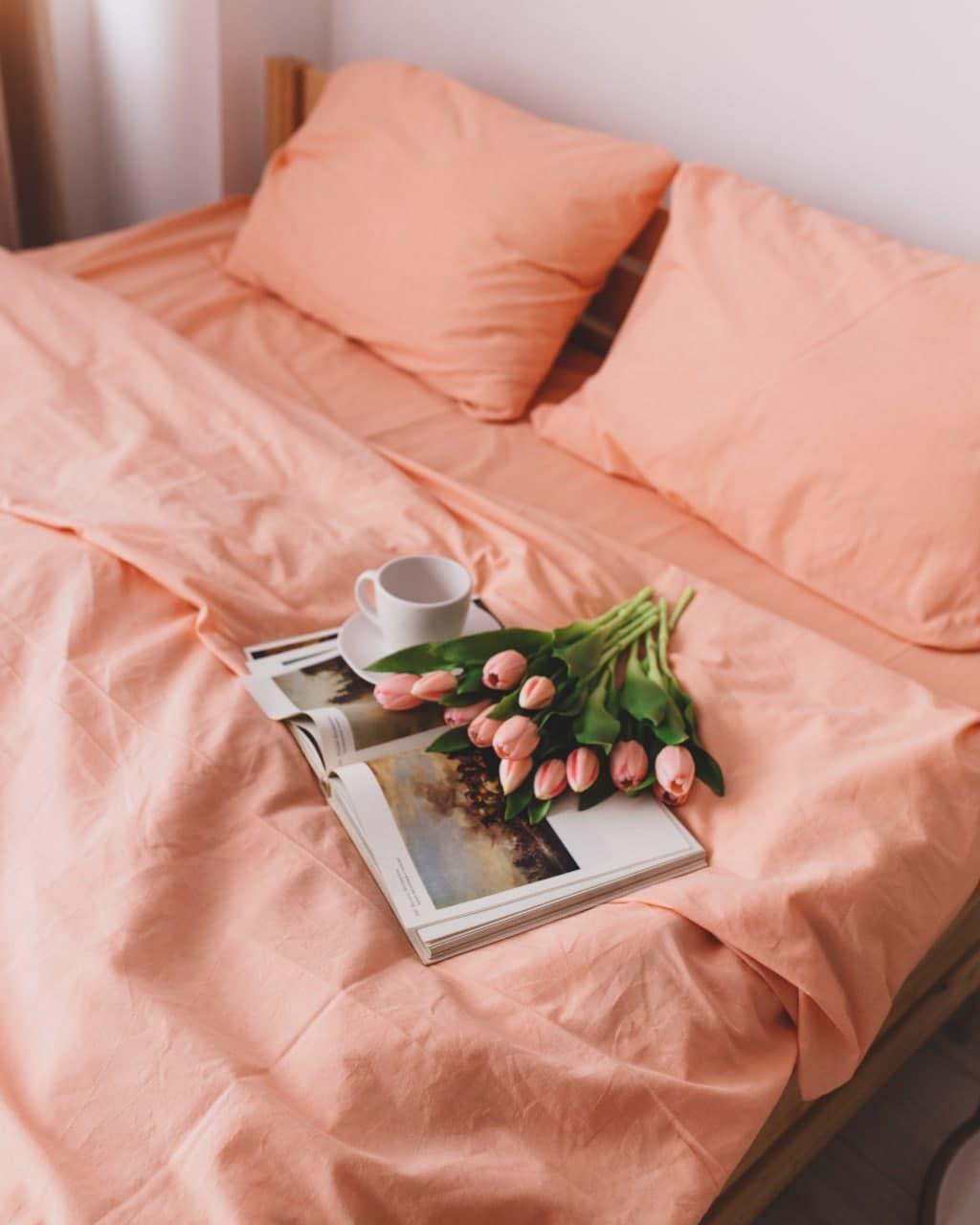 

Комплект постельного белья Qili Home Textile Сатин №R5896splR Полуторный 160х215, Коралловый с серым
