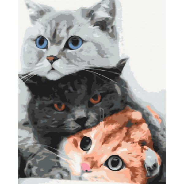 

Картина по номерам "Котики - муркотики" Brushme набор для творчества картина по номерам 40х50 см