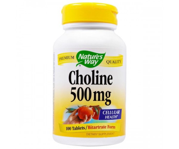 

Вітамін В4 Холін Choline Nature's Way 500 мг 100 таблеток (NW044)