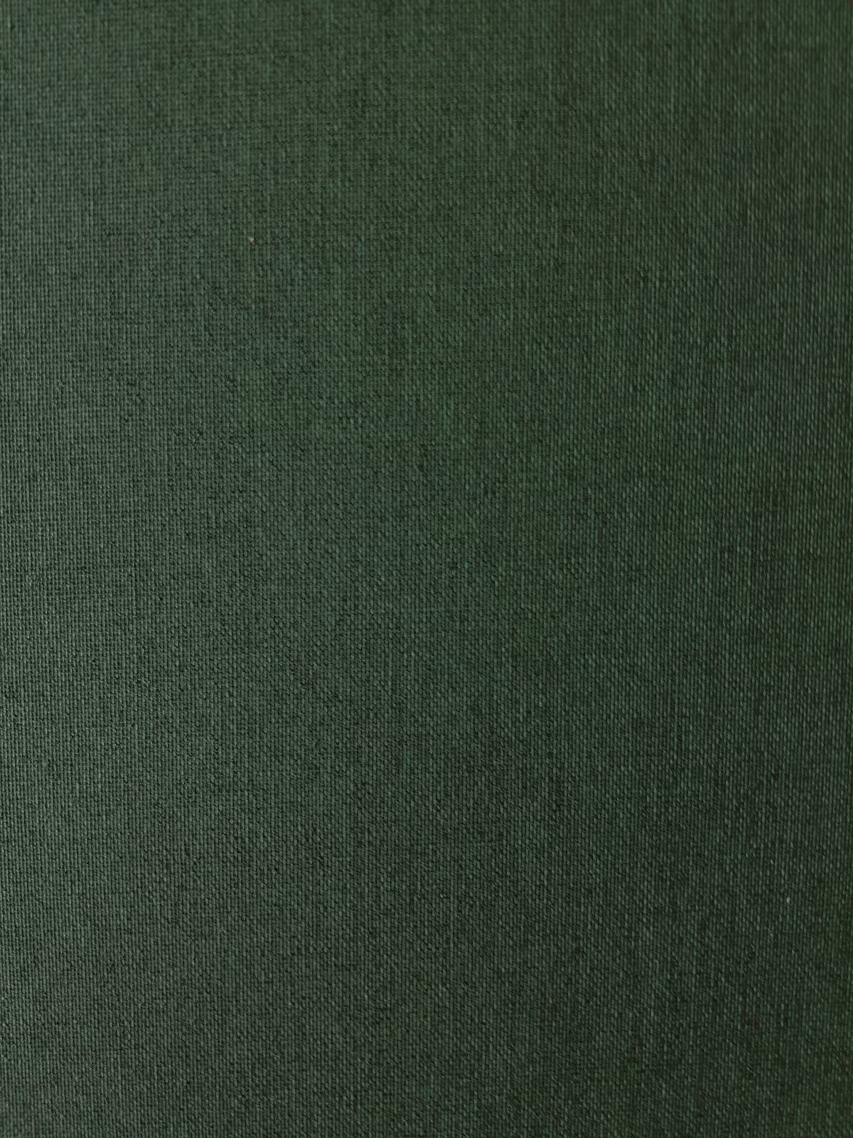 

Рулонная штора Franz Deco Eden 117,5 х 160 см Зеленый мох (Д31606)