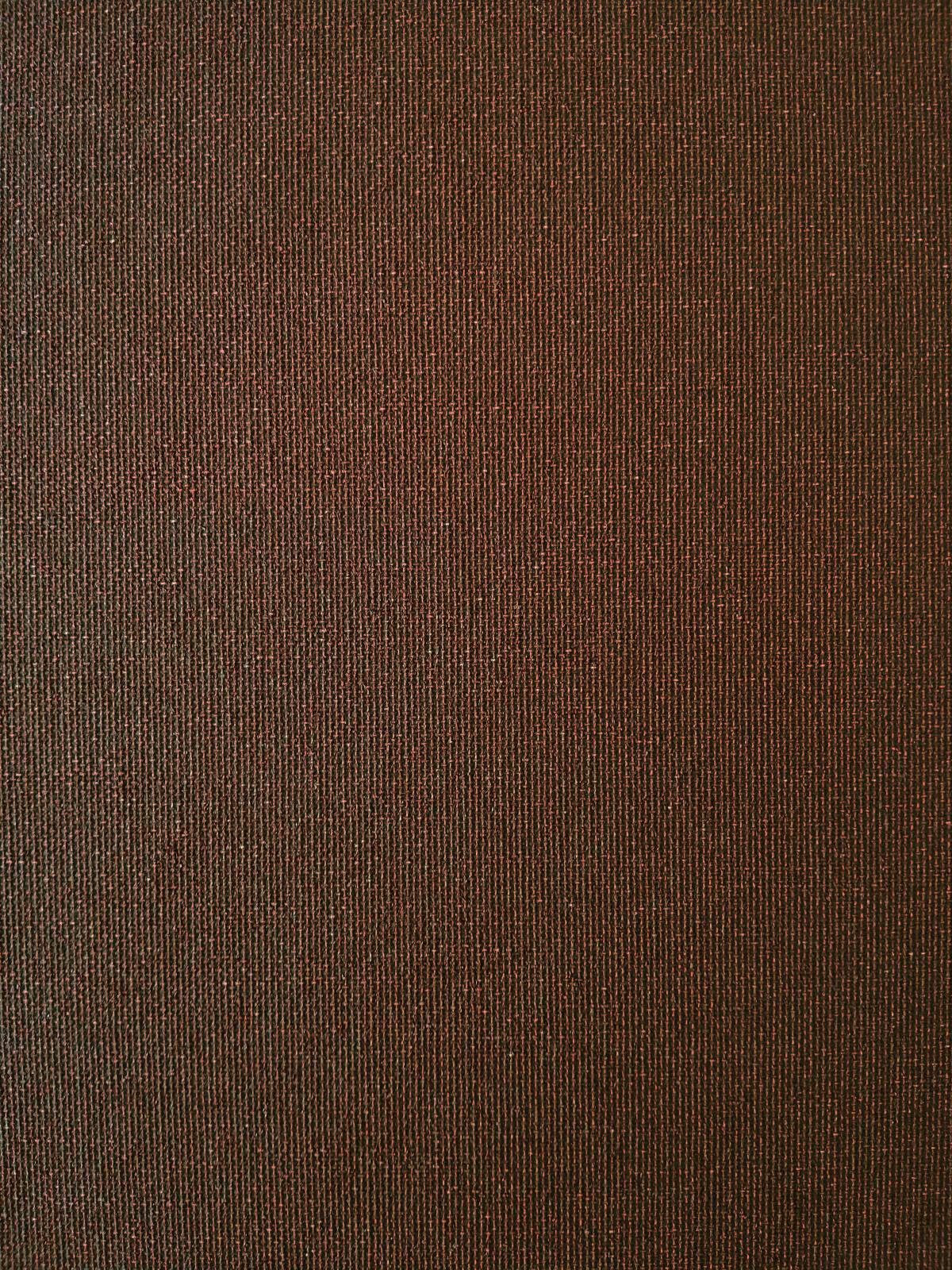 

Рулонная штора Franz Deco Eden 97,5 х 160 см Каштановая (Д31554)