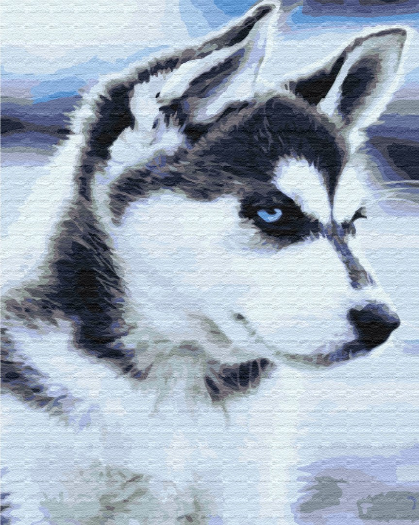 

Картина по номерам - Щенок Хаски BrushMe 40*50см. (BS21714)