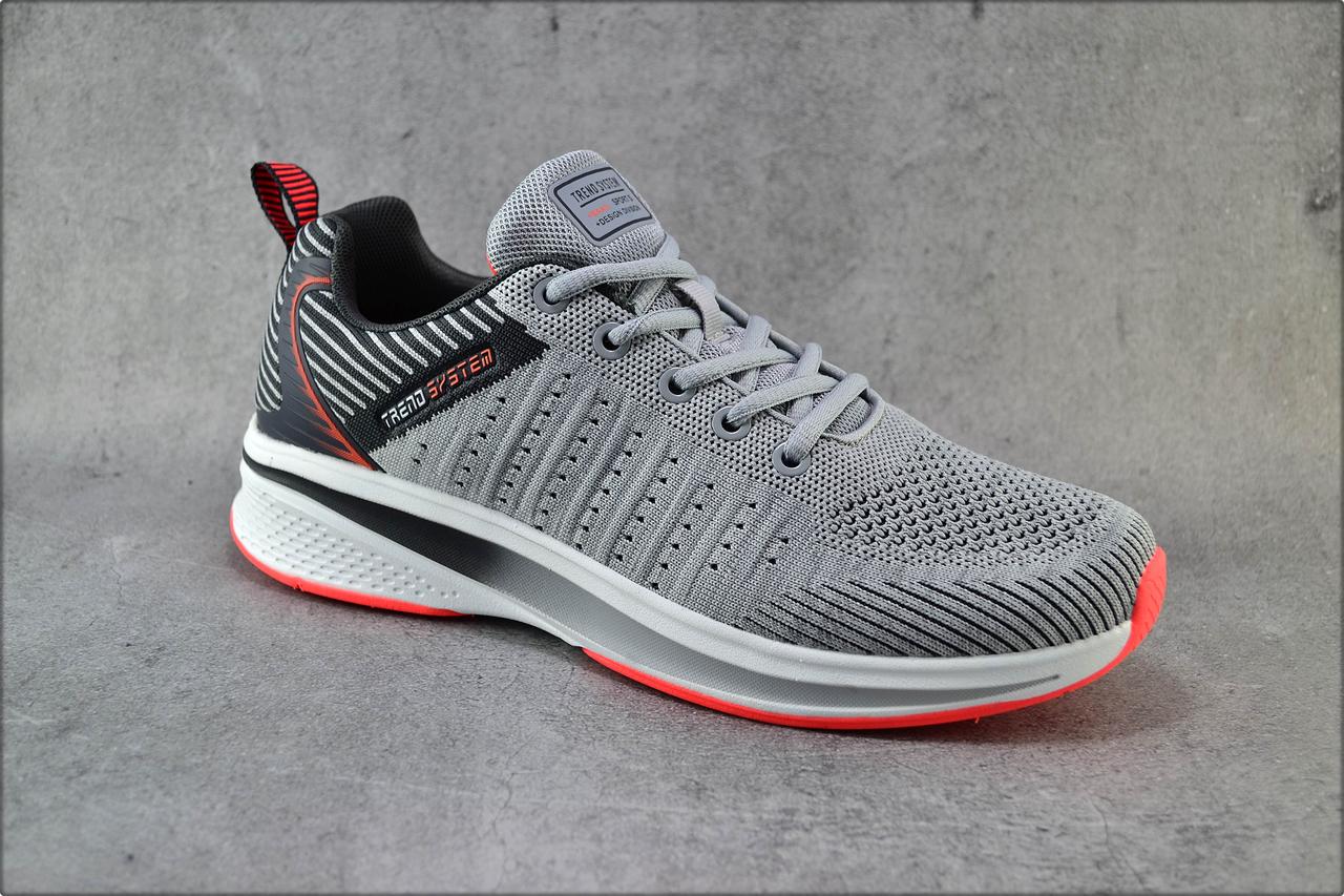 

Мужские кроссовки Trend System Gray 44 Серый