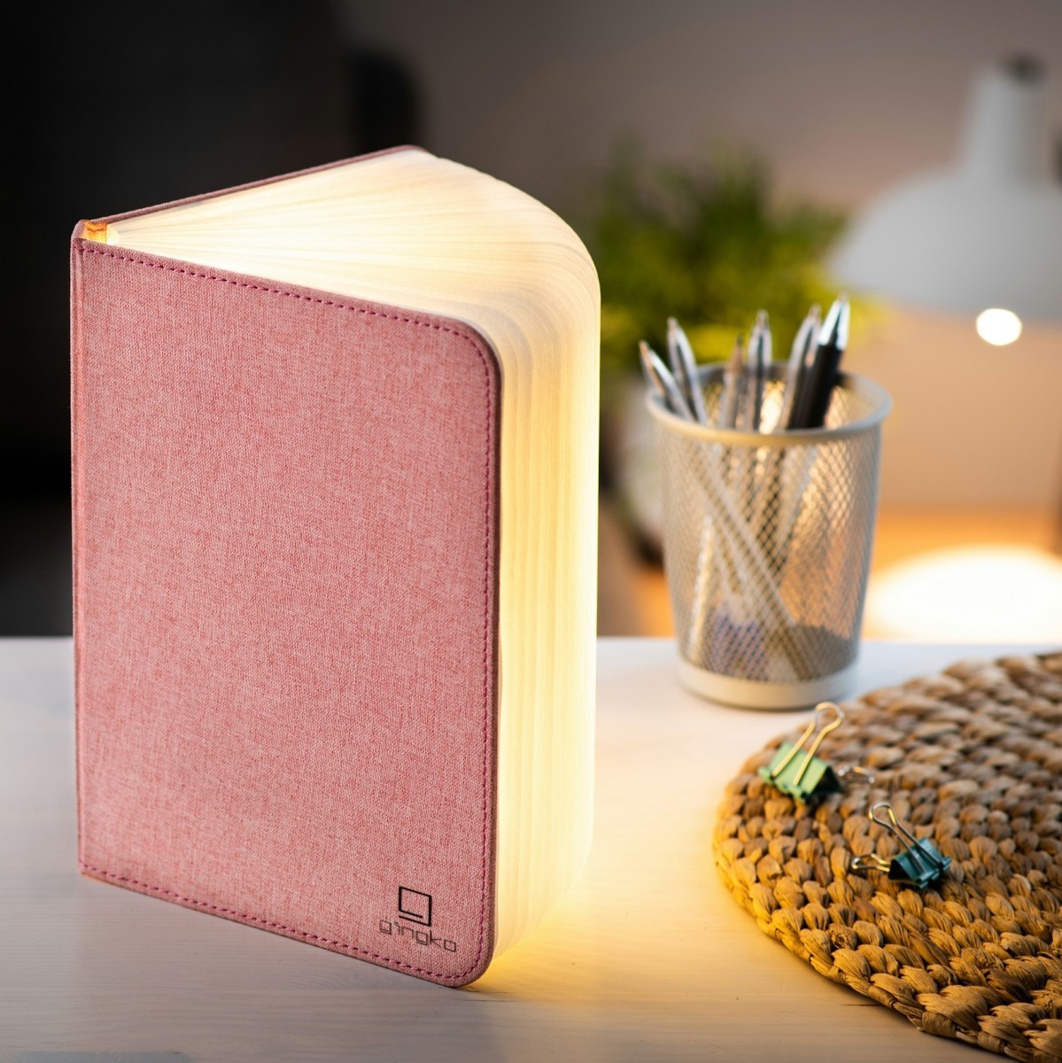 

Ночник лампа-книга Gingko GK12F-PK1