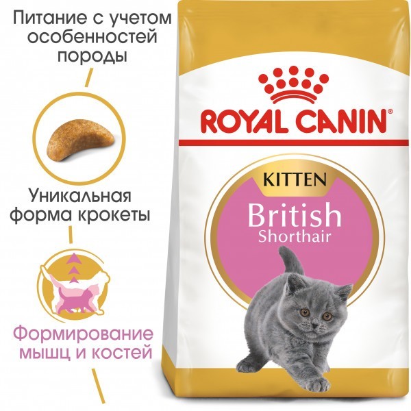 

Сухой для котят породы британская короткошерстная до 12 месяцев Royal Canin kitten british shorthair 2 кг 2566020