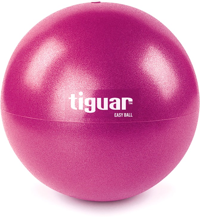 

Мяч для пилатес Tiguar 25 см, Фиолетовый (TI-PEB025)