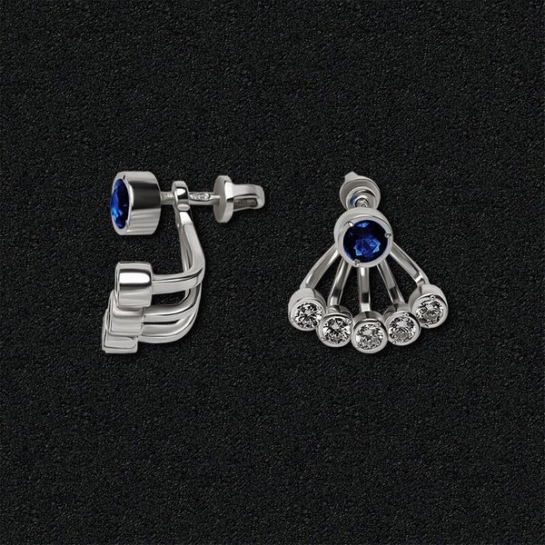 

Срібні сережки 2009whblue