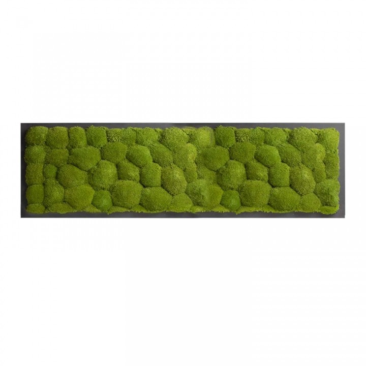 

Картина SmartBotanica из стабилизированного кочкового мха 140*40 см в черной деревянной рамке