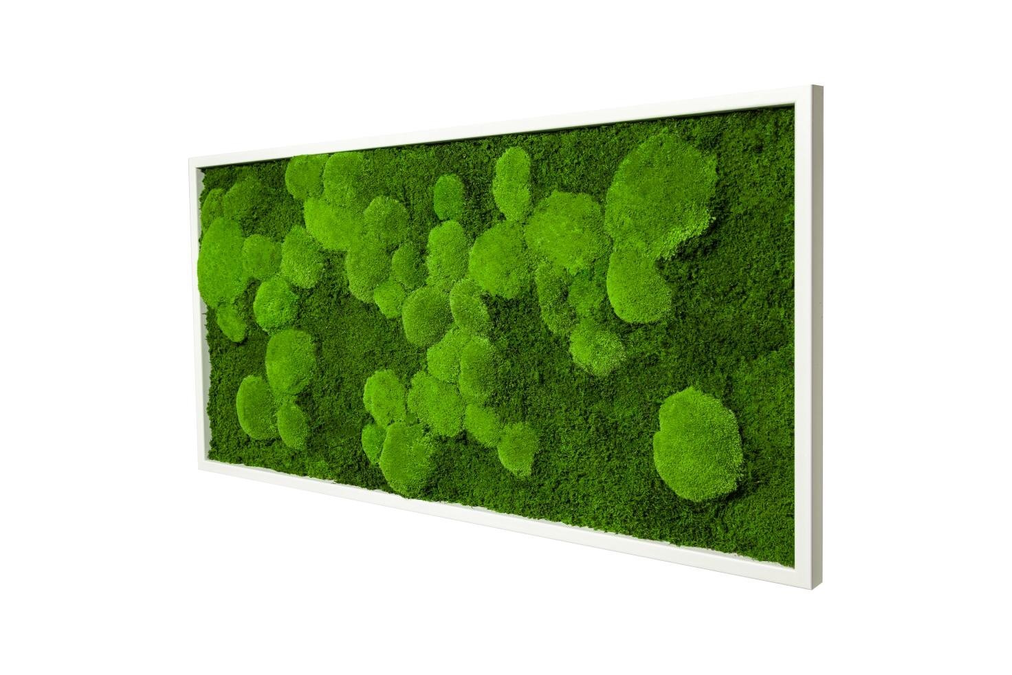 

Картина SmartBotanica из стабилизированного мха 100*35 см в белой деревянной рамке