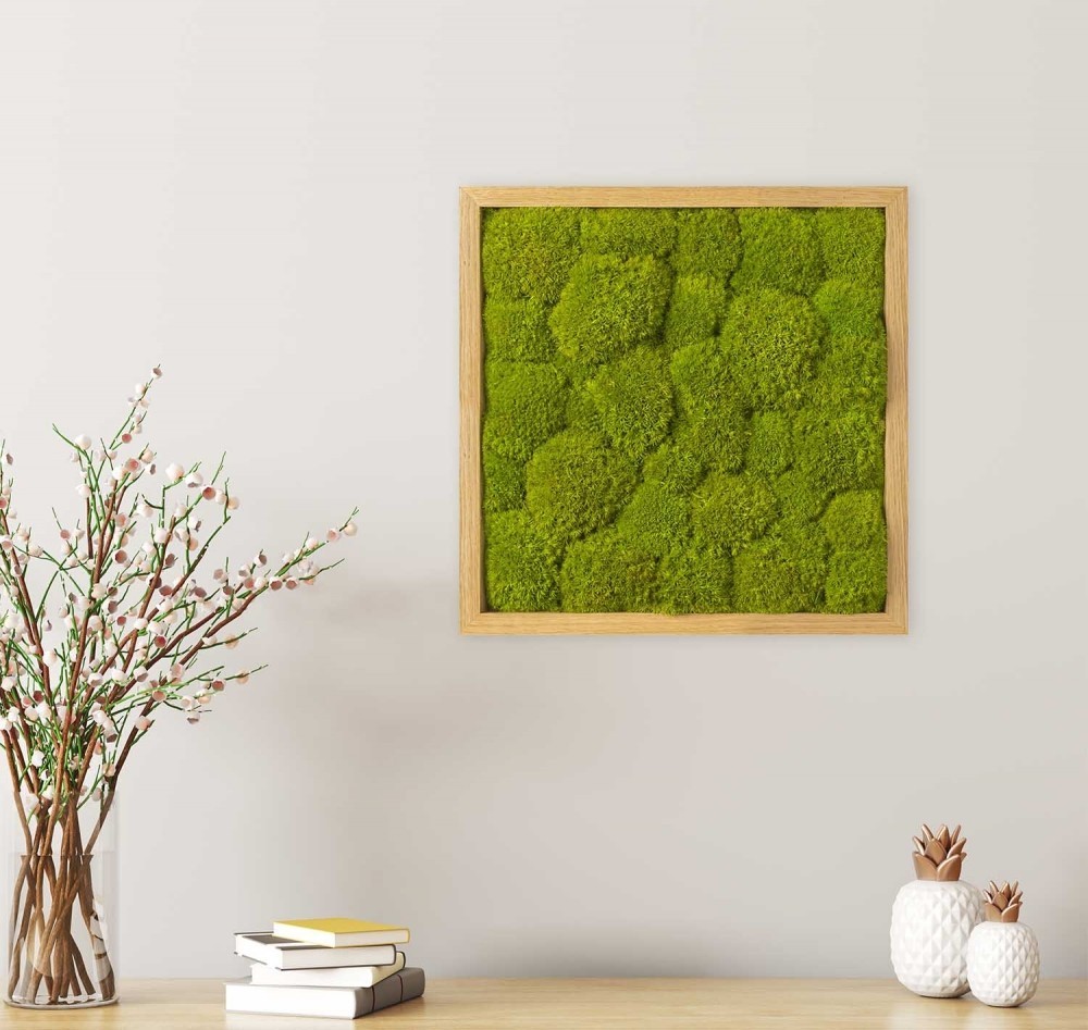 

Картина SmartBotanica из стабилизированного кочкового мха 35*35 см в светло-коричневой деревянной рамке