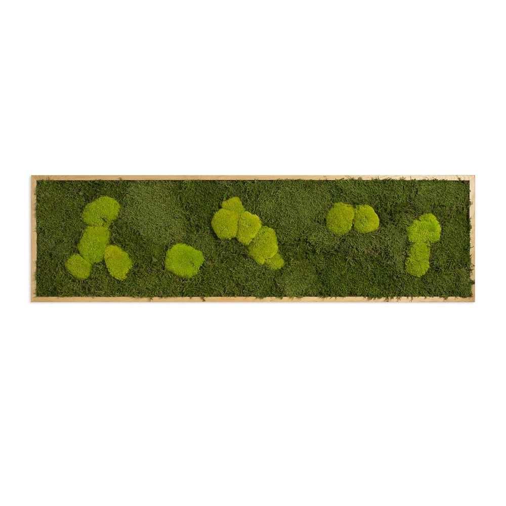 

Картина SmartBotanica из стабилизированного мха 140*40 см в светло-коричневой деревянной рамке