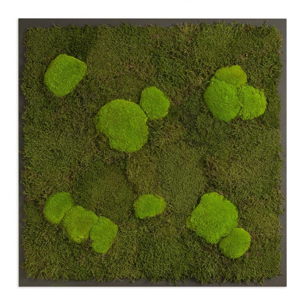 

Картина SmartBotanica из стабилизированного мха 80*80 см в черной деревянной рамке