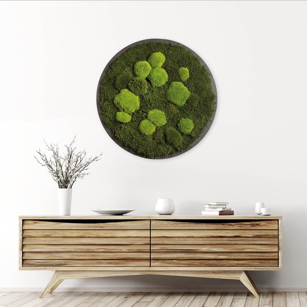 

Картина SmartBotanica из стабилизированного мха диаметр 50 см