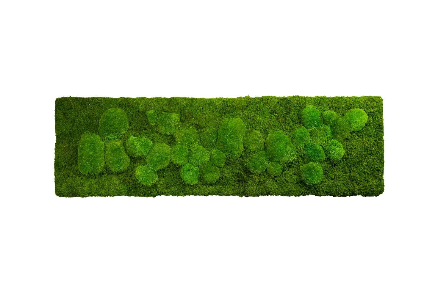 

Картина SmartBotanica из стабилизированного мха 140*40 см