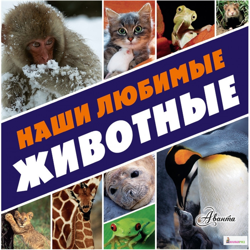 

Наши любимые животные - Аванта+ - 758469
