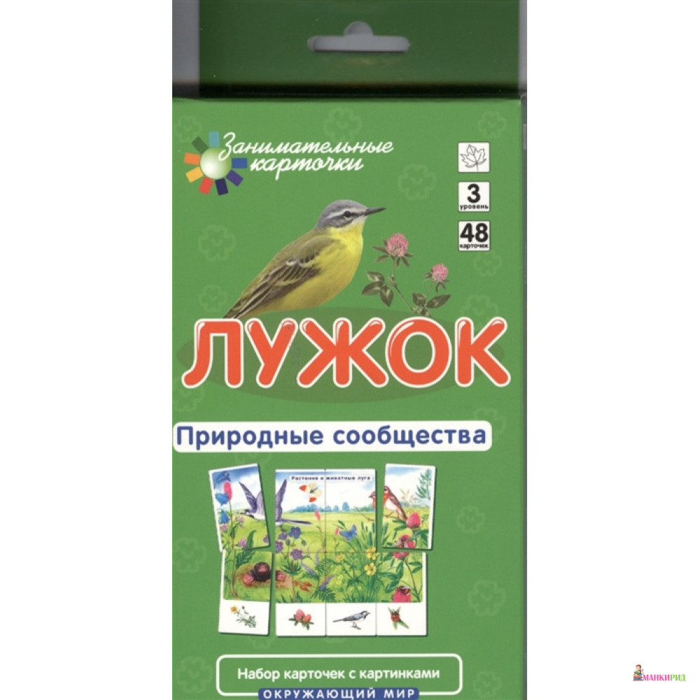 

Лужок. Природные сообщества. Набор карточек с картинками - Айрис-пресс - 383695