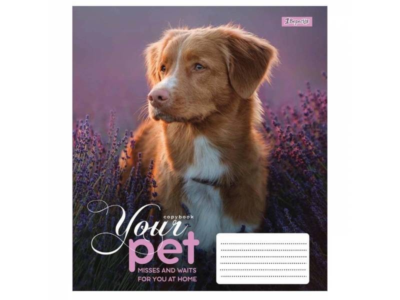 

Тетрадь .1Вересня-Yes 12л. кос DOG LOYALITY (СОБАКИ)(25шт)