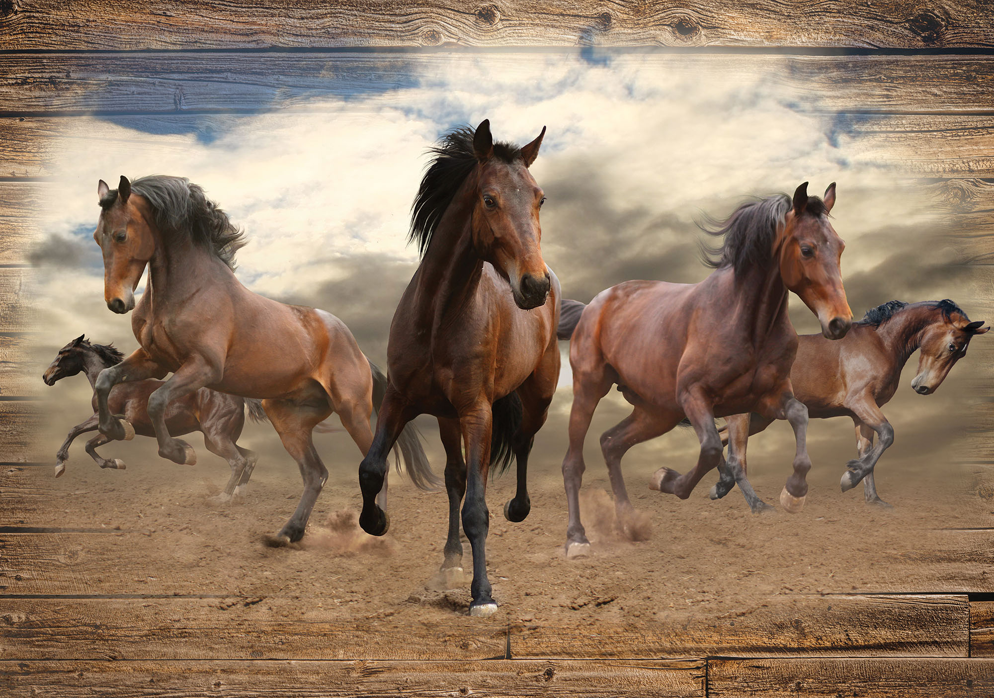 

Фотообои бумажные DecoArt Лошади 368 x 254 см 4 сегмента (10083 - P8)