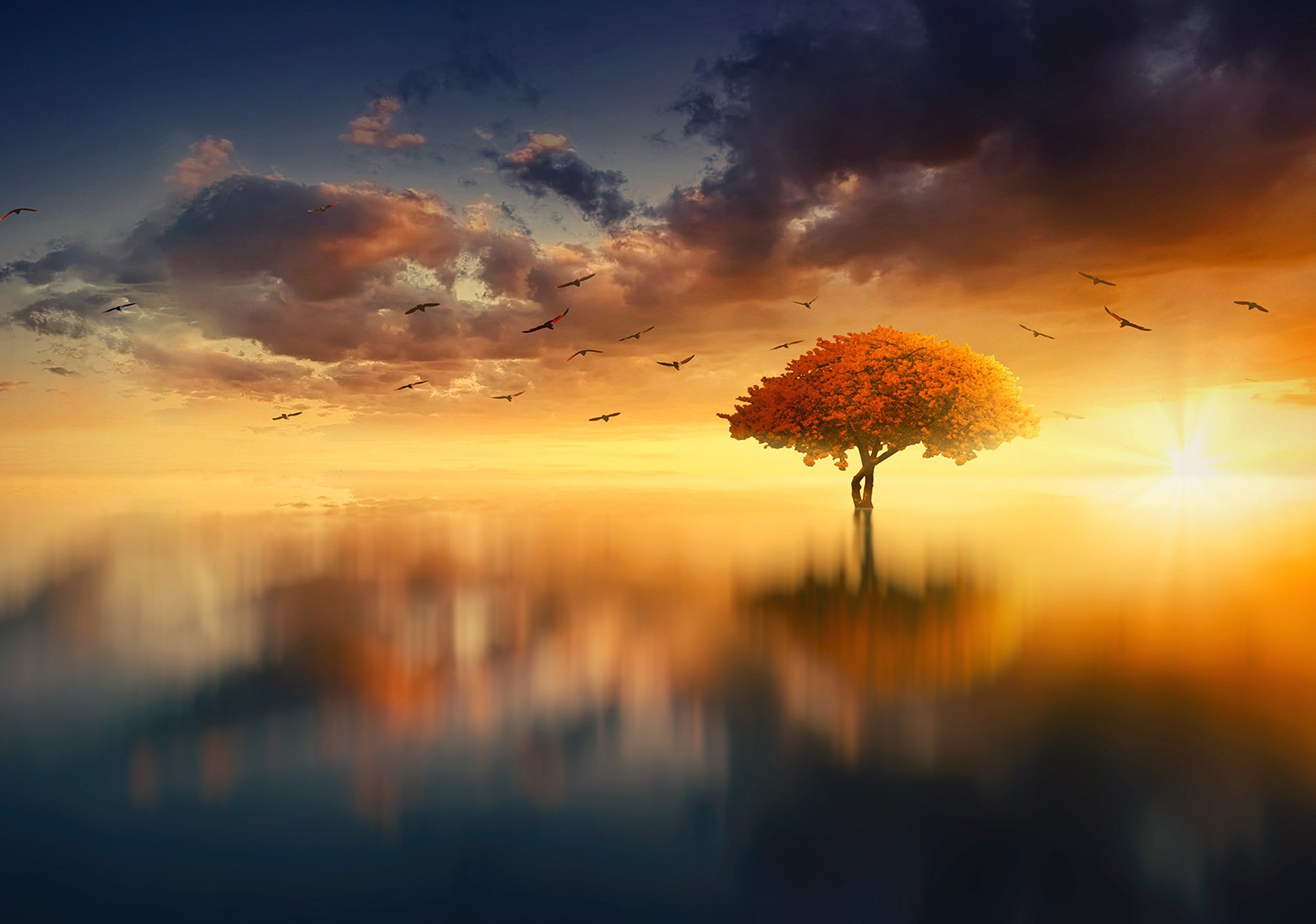 

Фотообои флизелиновые DecoArt Дерево на фоне закатного неба 368 x 254 см 4 сегмента (13003 - V8)