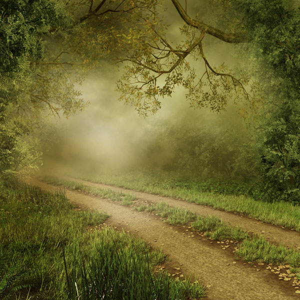 

Фотообои Динго Дорога Шоссе Wallpapers Фотообои №4540v