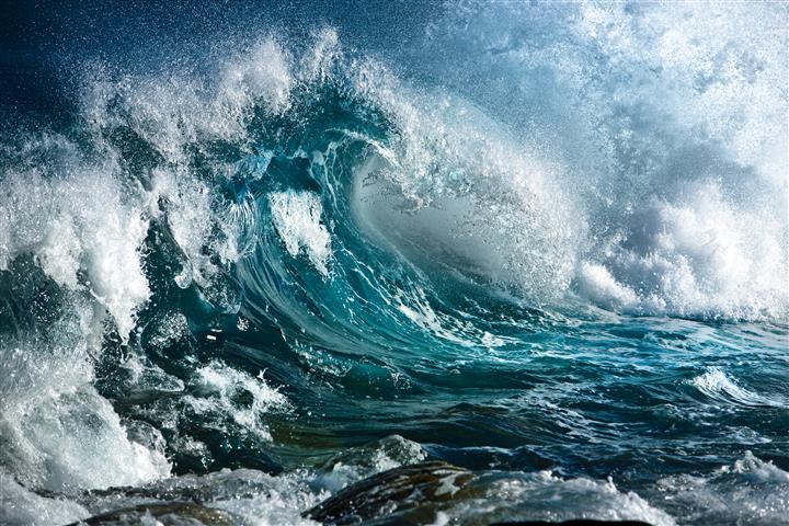 

Фотообои Динго Море Волна Океан Вода №988v