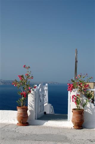 

Фотообои Динго Улица Дворик Wallpapers Фотообои №2434v
