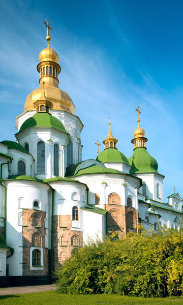 

Фотообои Динго Киев Украина Wallpapers Фотообои №3121v