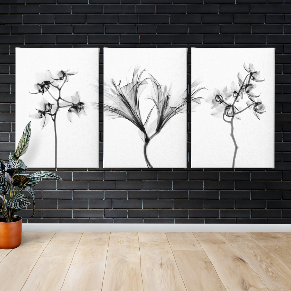 

Модульная картина из трех частей Black Flowers 126x80 см