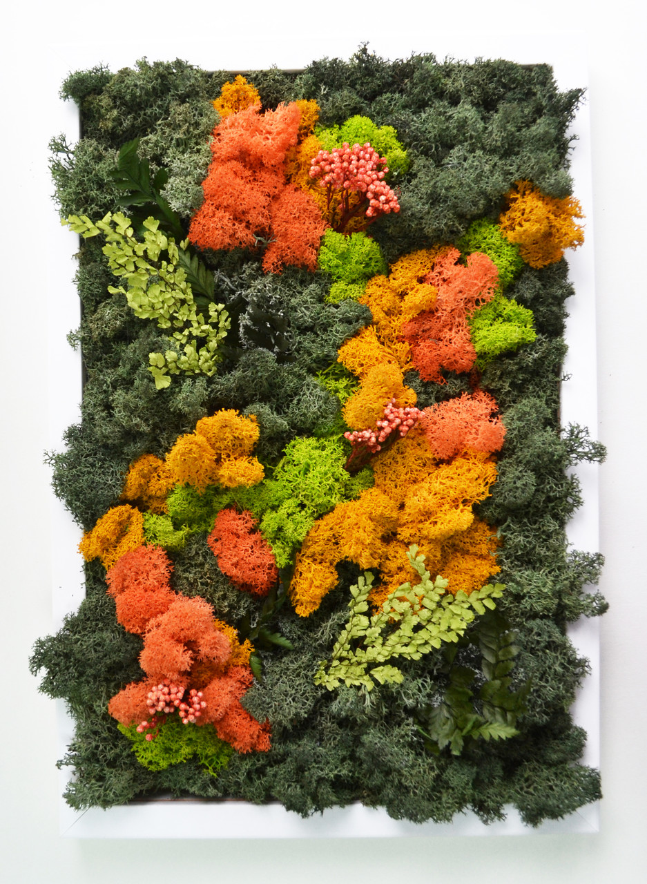 

Картина Artis Green из стабилизированного мха и растений "Orange&Green" S114