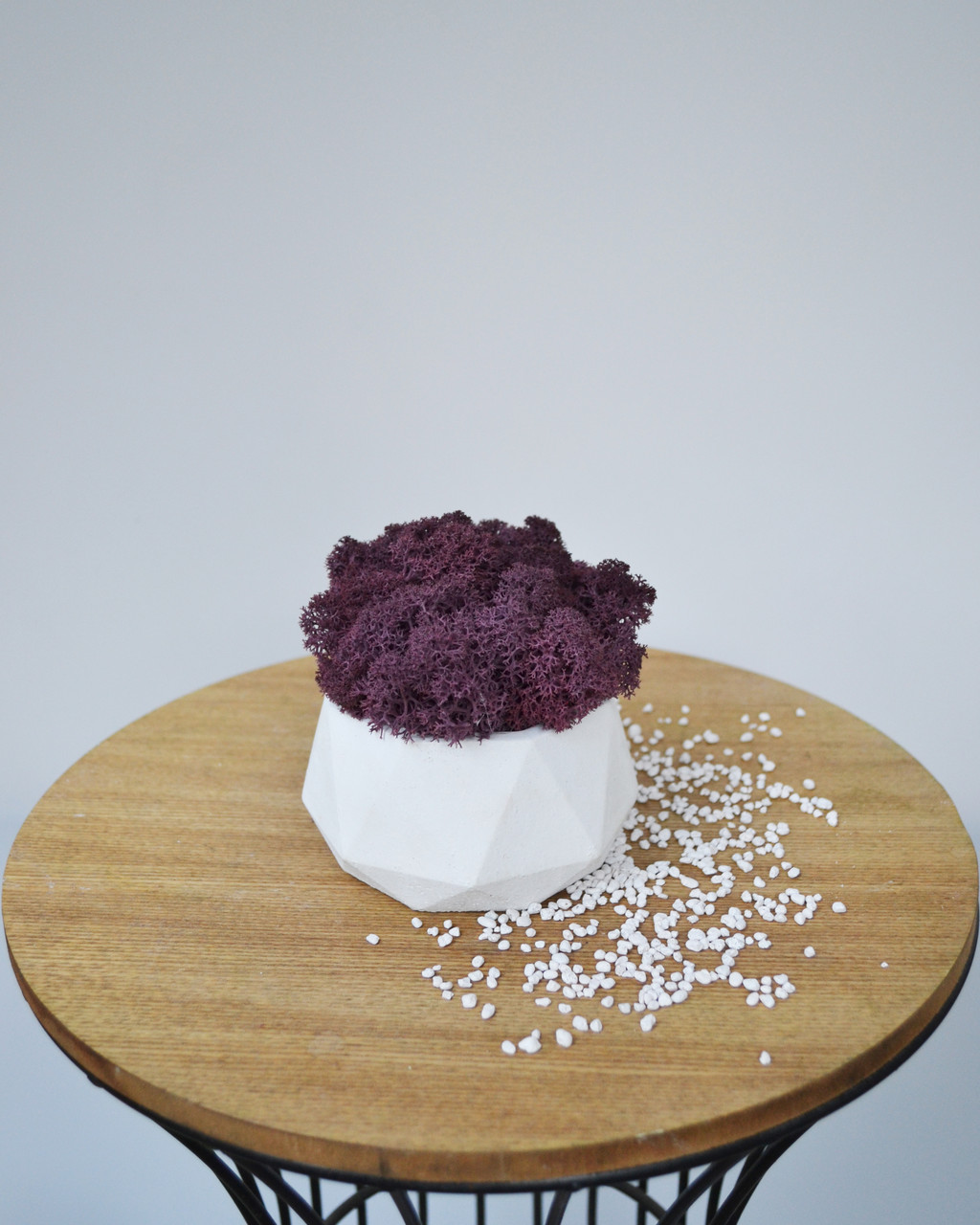 

Бетонное кашпо Artis Green с настоящим мхом Fresh Violet S117|3