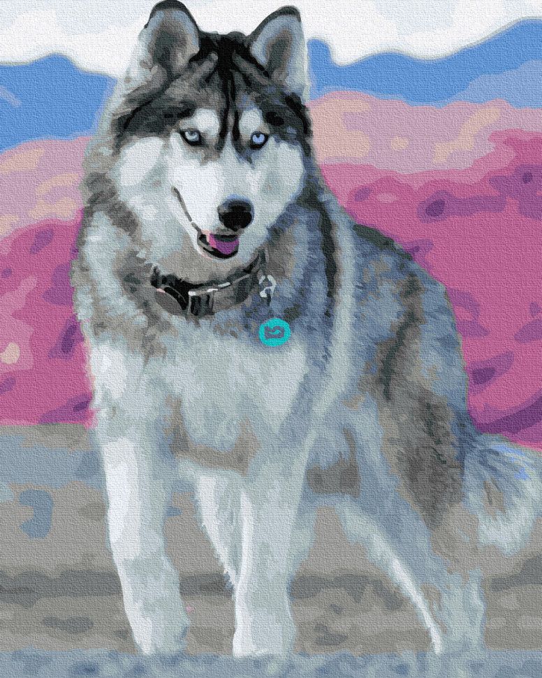 

Картина по номерам Голубоглазый хаски Rainbow Art (gx30393) (164522)