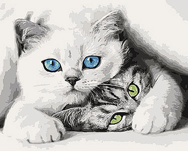 

Картина по номерам. Животные, птицы "Котята" KHO4098, 40х50 см 396236